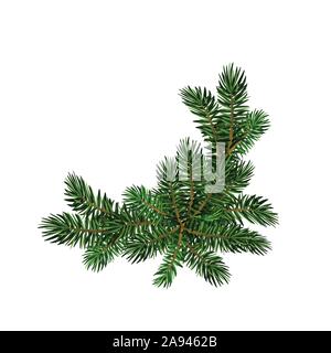 Zwei Grüne fichte Äste realistisch. Weihnachten Vector Illustration Stock Vektor