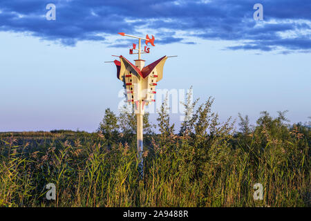 Purple Martin Birdhouse, Eiche Hammock Marsh; Manitoba, Kanada Stockfoto