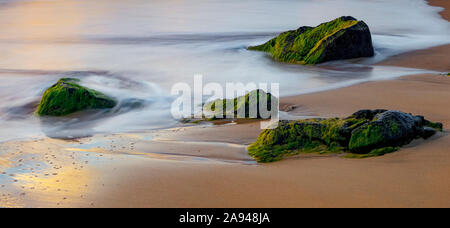 Moosbewachsene Felsen am Strand mit der Flut, die sich sanft im Sand abspült; Kauai, Hawaii, Vereinigte Staaten von Amerika Stockfoto