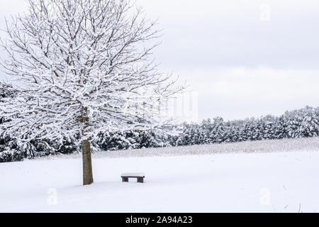 Spaziergang im Park nach einem Wintersturm, Fotos der Winterlandschaft in der wyomissing Park, Berks County, Pennsylvania Stockfoto