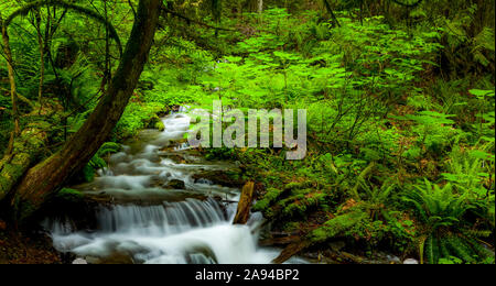 Bridal Veil Falls, Bridal Veil Falls Provincial Park; British Columbia, Kanada Stockfoto