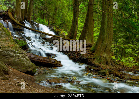 Bridal Veil Falls, Bridal Veil Falls Provincial Park; British Columbia, Kanada Stockfoto