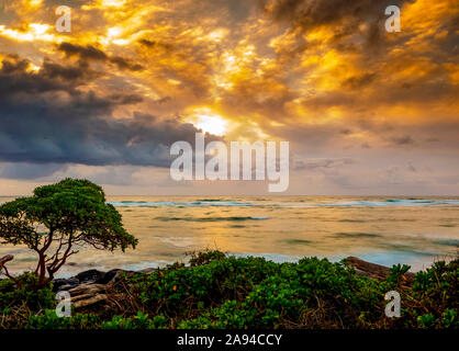 Sonnenaufgang über dem Pazifischen Ozean vom Ufer von Kauai; Kauai, Hawaii, Vereinigte Staaten von Amerika Stockfoto