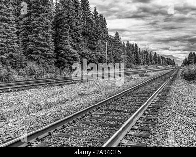 Bahngleise entlang eines Waldes und Moose Lake, Icefield Parkway, Regional District of Fraser-Fort George; British Columbia, Kanada Stockfoto