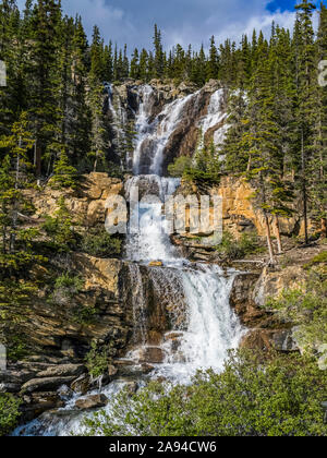 Wasserfälle, die entlang des Icefield Parkway, Improvement District No. 12, Alberta, Kanada, durch die zerklüfteten Klippen im Wald fließen Stockfoto