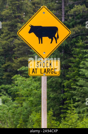 Gelbes Warnschild an einer Straßenabfahrwarnung bei Viehzucht; Kananaskis Improvement District, Alberta, Kanada