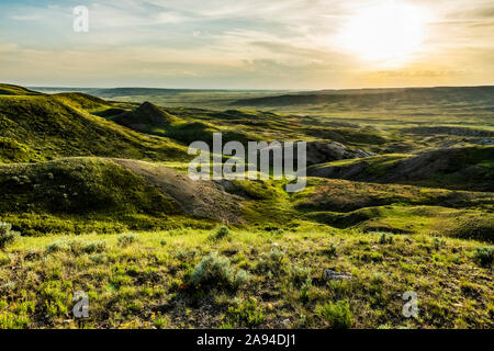 Weite Landschaft, die sich bei Dämmerung im Grasland National Park bis zum Horizont erstreckt; Val Marie, Saskatchewan, Kanada Stockfoto