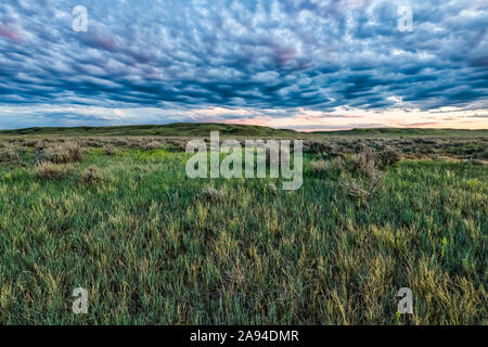 Dramatische Wolken über den Prärien, Grassland National Park; Val Marie, Saskatchewan, Kanada Stockfoto