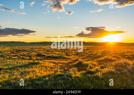 Strahlender goldener Sonnenuntergang im Grasslands National Park; Val Marie, Saskatchewan, Kanada Stockfoto