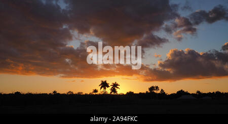 Der Everglades National Park, Florida - 3. Januar 2019: Sonnenuntergang und cloudscape über Royal Palm im Winter. Stockfoto