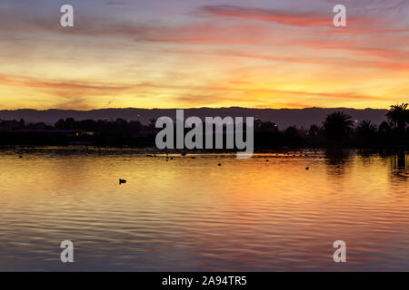 Herbst Sonnenuntergang von ententeich wider Stockfoto