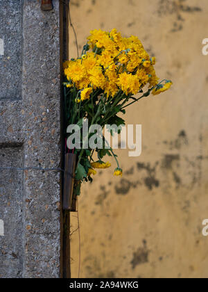 Ein Bündel von golden Chrysanthemen in einer Vase auf eine Betonwand. Ein gold Stuck Wand im Hintergrund. In Hoi An, Vietnam fotografiert. Stockfoto