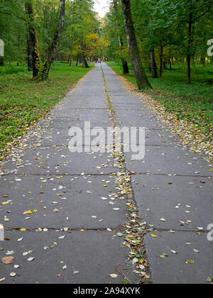 Lange Park Alley mit konkreten Bausteinen im frühen Herbst fallen in Mitte Oktober, Städte, Ukraine Stockfoto