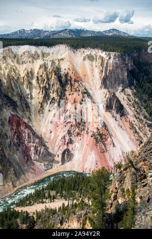 Landschaft Blick auf den Grand Canyon des Yellowstone der Yellowstone National Park (Wyoming). Stockfoto