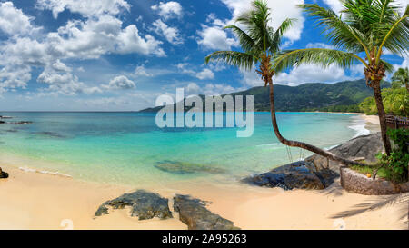 Kokospalmen am tropischen Strand Stockfoto
