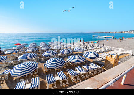 Eine Möwe fliegt über die Liegen in einem Resort am Strand an der Bucht der Engel, an der französischen Riviera in Nizza, Frankreich. Stockfoto