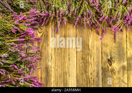 Heather Blumen auf Holz- Hintergrund Stockfoto