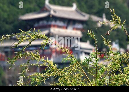 Zhengzhou. 26 Mär, 2019. Foto am 26. März 2019 zeigt die Xiangshan Tempel in Longmen Grotten Scenic Area in Central China Luoyang, Provinz Henan. Credit: Li Ein/Xinhua/Alamy leben Nachrichten Stockfoto