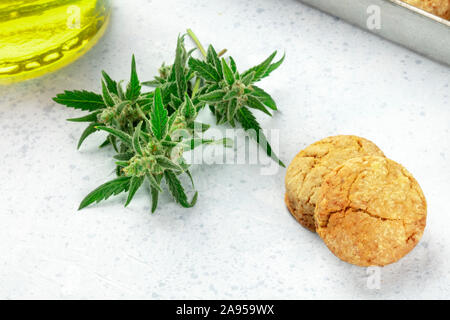 Cannabis butter Cookies mit Marihuana Knospen und cannaoil, hausgemachte gesunde Kekse Stockfoto