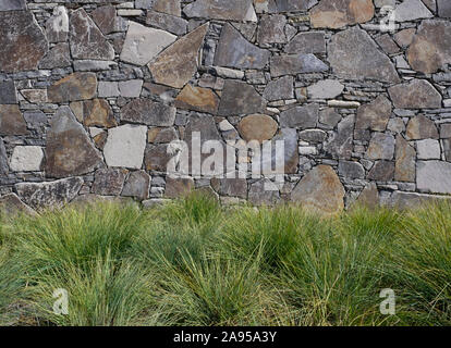 Masse das Einpflanzen von Gräsern in einer Landschaft gegen eine Mauer aus Stein an einem sonnigen Tag Stockfoto