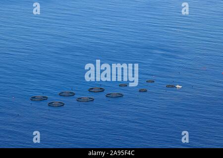 Angeln Boot steuert frei Wasser Netze im Meer, fischzucht an der Küste von Arco da Calheta, Madeira, Portugal Stockfoto