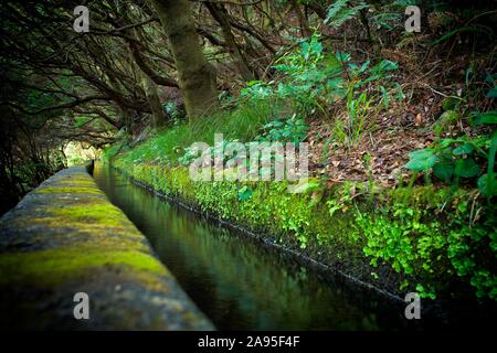 Wanderweg PR6 zu den 25 Quellen, entlang dem Wasser Kanal, Levada das 25 Fontes, im Regenwald, rabacal Naturschutzgebiet, Insel Madeira, Portugal Stockfoto