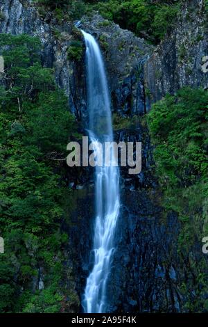 Cascata do Risco, Risco Wasserfall, im Lorbeerwald Laurisilva, rabacal Naturschutzgebiet, auf der Insel Madeira, Portugal Stockfoto