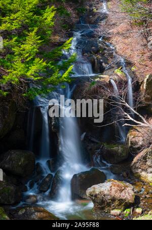 Ryuzu fällt, Wasserfall, Fluss Yu, Nikko National Park, Nikko, Präfektur Tochigi, Japan Stockfoto