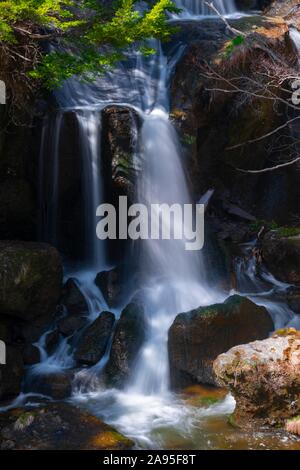 Ryuzu fällt, Wasserfall, Fluss Yu, Nikko National Park, Nikko, Präfektur Tochigi, Japan Stockfoto