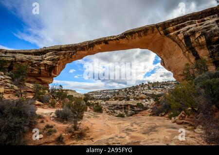 Rock Arch, Owachomo Bridge, Natural Bridges National Monument, Utah, USA Stockfoto