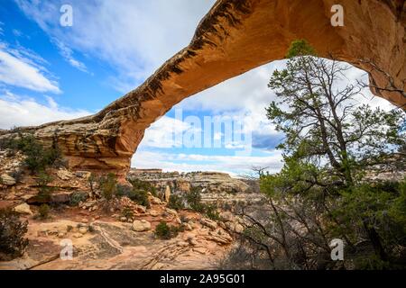 Rock Arch, Owachomo Bridge, Natural Bridges National Monument, Utah, USA Stockfoto