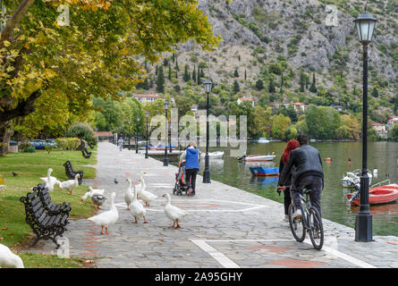 Emder Gänse weiden auf der Promenade am See Orestiada in Kastoria. Mazedonien, im Norden Griechenlands. Stockfoto