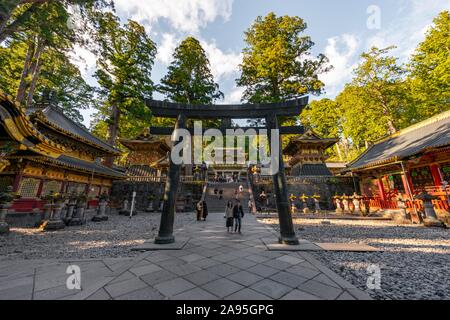 Torii Tor an Tosho-gu Schrein aus dem 17. Jahrhundert, Shinto Schrein, Schreine und Tempel von Nikko, Weltkulturerbe der UNESCO, Nikko, Japan Stockfoto