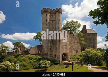 Kasselburg, Pelm, Vulkaneifel, Eifel, Rheinland-Pfalz, Deutschland Stockfoto