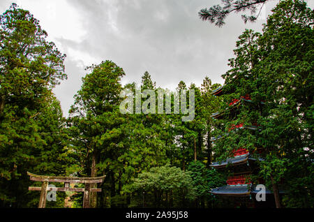 Fünfstöckige Pagode und Torii-tor in Nikko, Japan Stockfoto