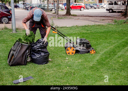Ein Haushalt Garten Rasen Mähen mit schwarzer Tasche von Grasschnitt. Arbeiter sammelt gemähtem Gras in schwarzen Plastiktüten auf einer vor kurzem getrimmten Rasen Stockfoto