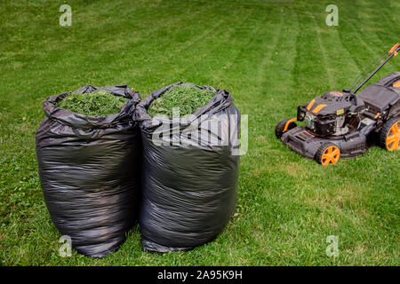 Ein Haushalt Garten Rasen Mähen mit schwarzer Tasche von Grasschnitt. Grasschnitt in eine schwarze Plastiktüte auf einem neu getrimmten Rasen Stockfoto