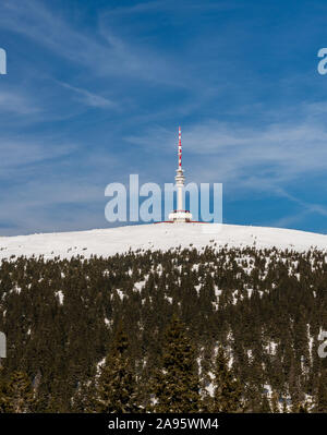 Blick auf praded Hügel mit Kommunikation Turm in der Nähe von Ski slopel Petrovy kameny im Winter Gesenke in der Tschechischen Republik Stockfoto