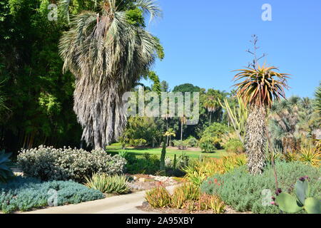 Ein Garten auf einem Landgut in Kalifornien Stockfoto