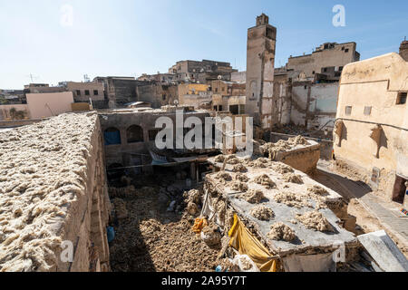 Fez, Marokko. November 9, 2019. Ein Labor für Waschen und Trocknen und Färben von Wolle Stockfoto