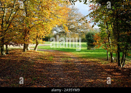 Szene Herbst Laub. Buche Blätter. Zufahrt zu einem Haus Stockfoto