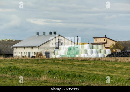 Eine gute Ernte liegt in der Nähe der Scheune gelagert. Zylindrischen silo Ballen in einer Pyramide gestapelt. Industrial Dairy Farm. Podlasien, Polen. Stockfoto