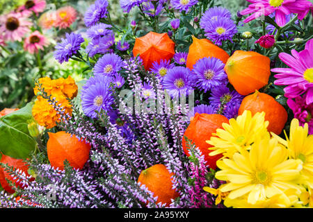Verschiedene saisonale Herbst Blumen close up Stockfoto