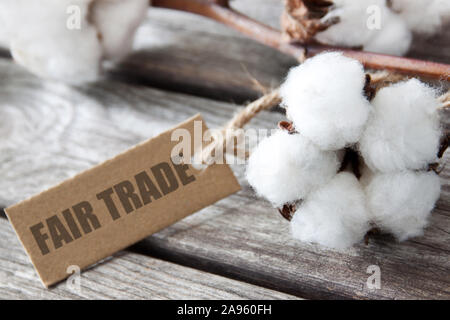 Baumwolle, Wolle und Fair Trade Label gegen Holz- Hintergrund Stockfoto
