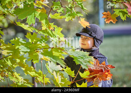 Kleine Mädchen sammelt die Blätter im Herbst. Mädchen spielt mit Blätter im Herbst. Stockfoto