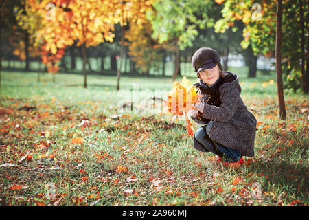 Kleine Mädchen sammelt die Blätter im Herbst. Mädchen spielt mit Blätter im Herbst. Stockfoto