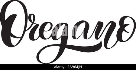 Vektor Kalligraphie Abbildung auf weißem Hintergrund. Stock Vektor