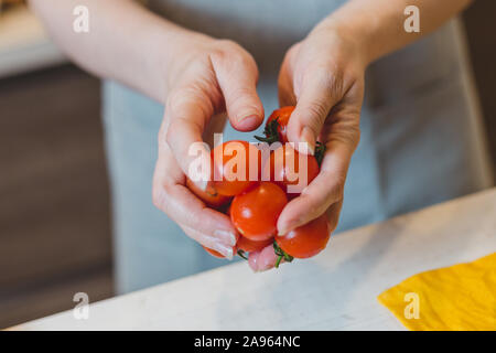 Der Koch wählt die besten Tomaten für hochwertige Speisen und exklusive Küche Stockfoto