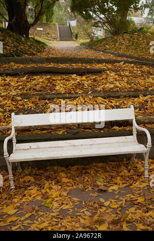 19-10-27 Botanischer Garten in Prag Na Slupi-0006-alte weiße Bank im Herbst fallen Blätter Stockfoto