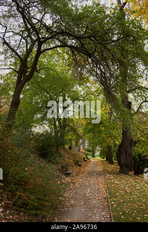 19-10-27 Botanischer Garten in Prag Na Slupi-0008-romantischer Weg am Herbstnachmittag Stockfoto